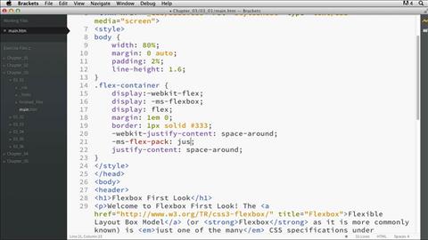 Courses CSS Flexbox First Look logo